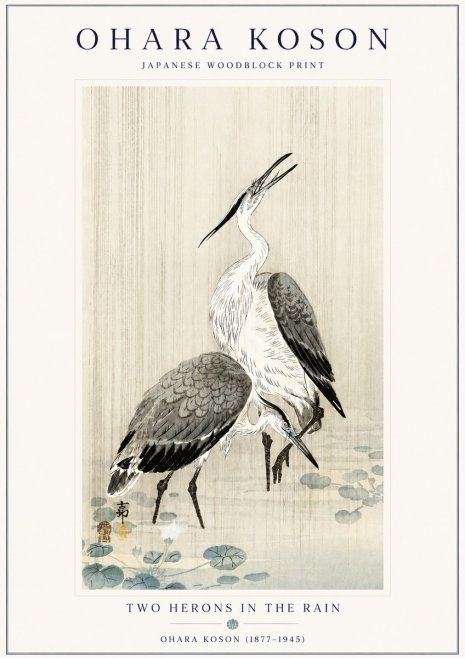 Ohara Koson Two Herons in the Rain No6 - Juliste