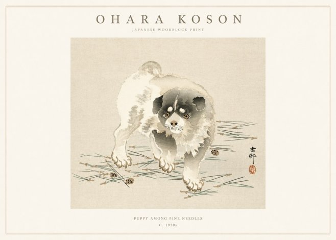Ohara Koson Puppy Among Pine Needles No1 - Juliste