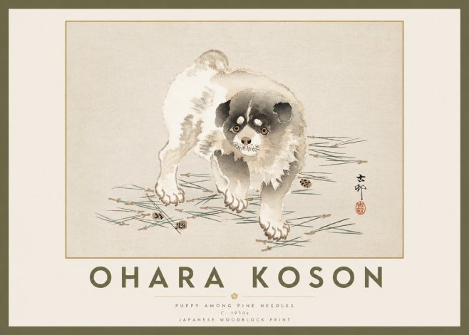 Ohara Koson Puppy Among Pine Needles No2 - Juliste