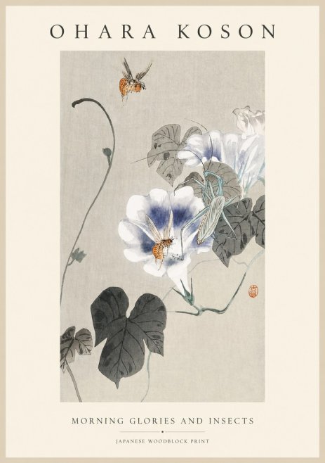 Ohara Koson Morning Glories and Insects No1 - Juliste