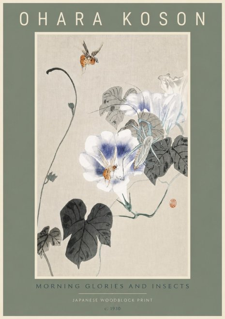 Ohara Koson Morning Glories and Insects No2 - Juliste