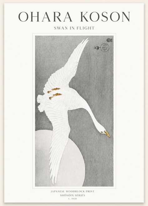 Ohara Koson Swan in Flight No1 - Juliste