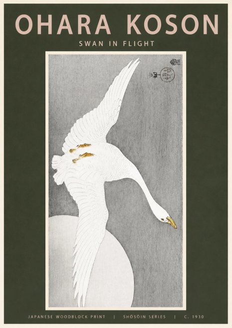 Ohara Koson Swan in Flight No2 - Juliste