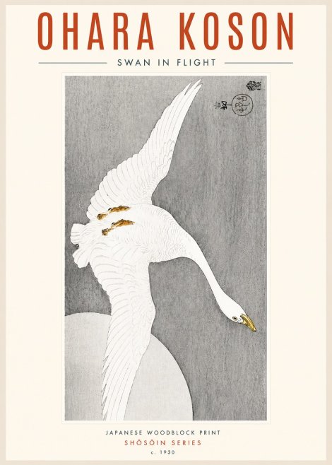 Ohara Koson Swan in Flight No4 - Juliste