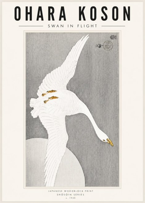 Ohara Koson Swan in Flight No5 - Juliste