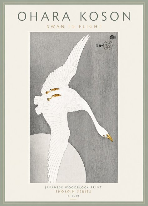 Ohara Koson Swan in Flight No6 - Juliste