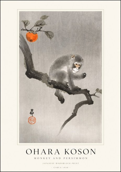 Ohara Koson Monkey and Persimmon No1 - Juliste