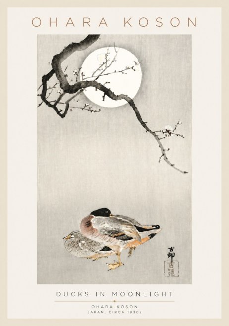 Ohara Koson Ducks in Moonlight No3 - Juliste