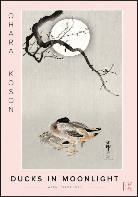 Ohara Koson Ducks in Moonlight No6 - Juliste