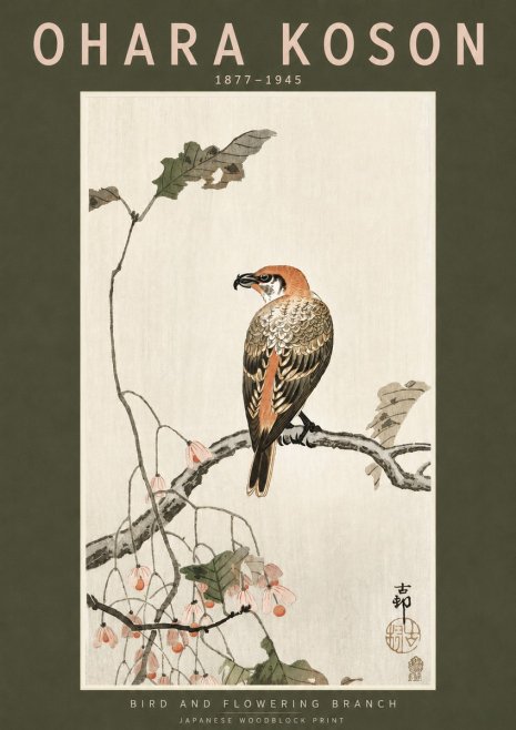 Ohara Koson Bird and Flowering Branch No3 - Juliste