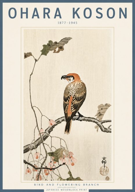 Ohara Koson Bird and Flowering Branch No4 - Juliste