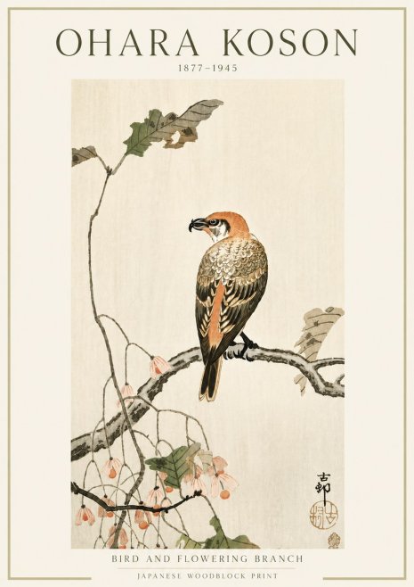 Ohara Koson Bird and Flowering Branch No5 - Juliste