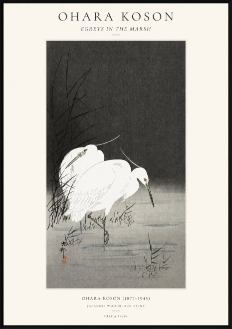 Ohara Koson Egrets in the Marsh No1 - Juliste