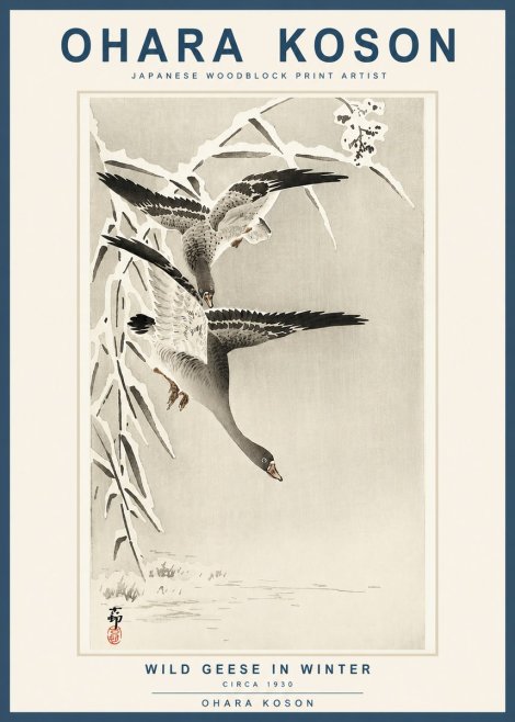 Ohara Koson Wild Geese in Winter No3 - Juliste