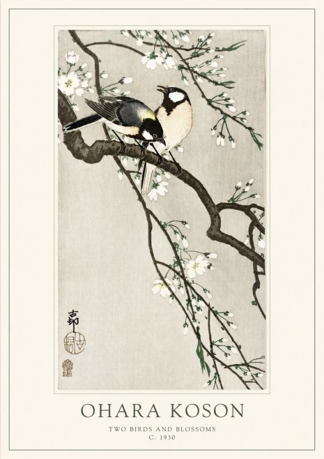Ohara Koson Two Birds and Blossoms II No1 - Juliste