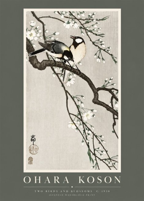 Ohara Koson Two Birds and Blossoms II No2 - Juliste