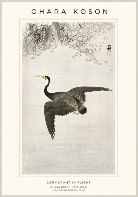 Ohara Koson Cormorant in Flight No1 - Juliste