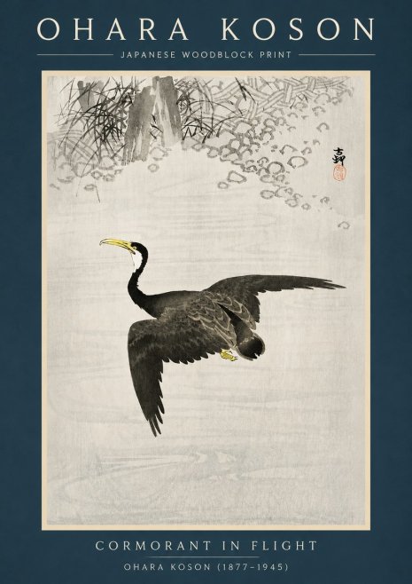Ohara Koson Cormorant in Flight No2 - Juliste