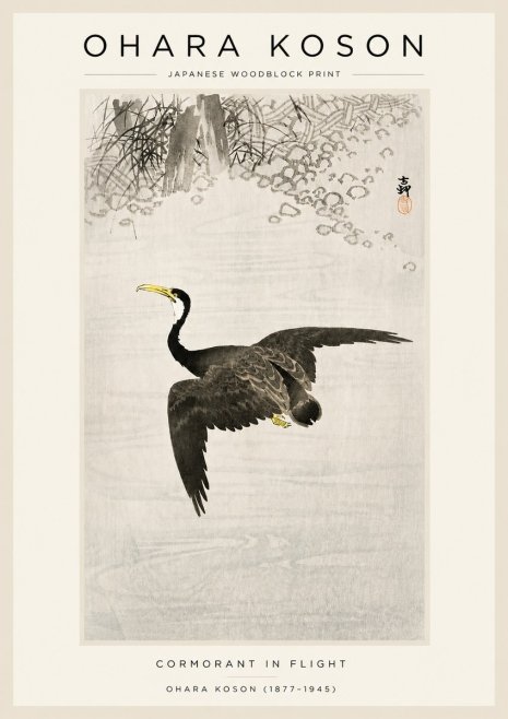 Ohara Koson Cormorant in Flight No3 - Juliste