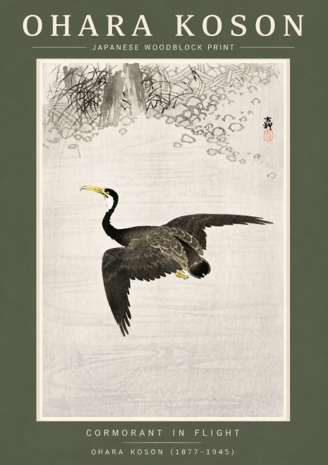 Ohara Koson Cormorant in Flight No4 - Juliste