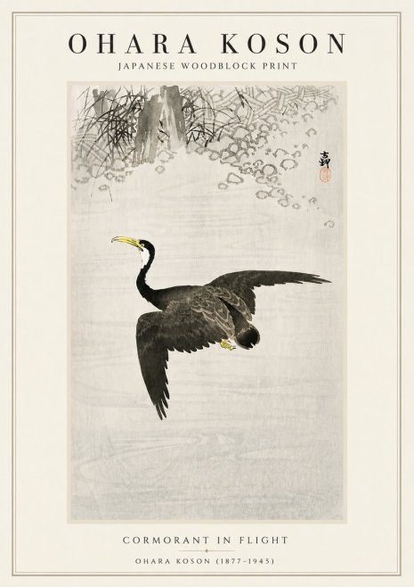 Ohara Koson Cormorant in Flight No5 - Juliste
