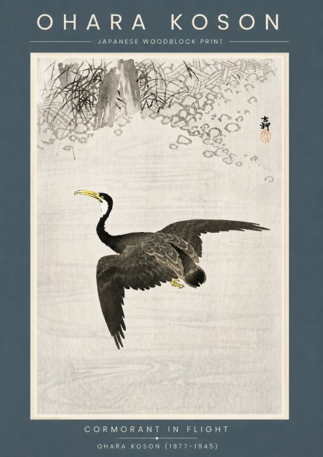Ohara Koson Cormorant in Flight No6 - Juliste