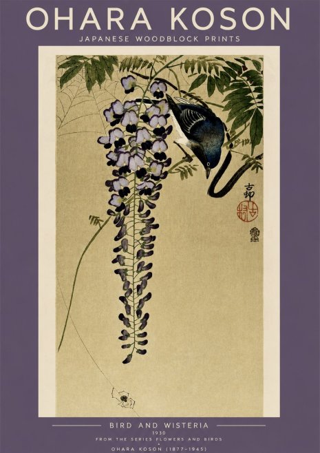 Ohara Koson Bird and Wisteria No4 - Juliste
