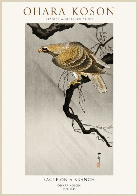 Ohara Koson Eagle on a Branch II No1 - Juliste