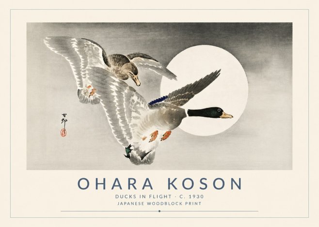 Ohara Koson Ducks in Flight No5 - Juliste