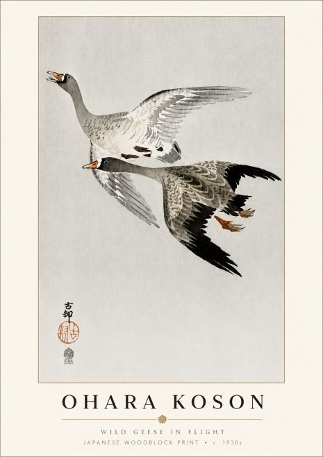 Ohara Koson Wild Geese in Flight III No3 - Juliste