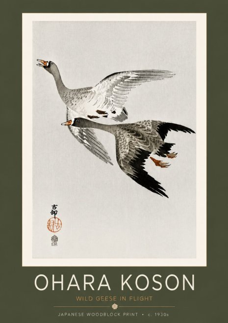 Ohara Koson Wild Geese in Flight III No4 - Juliste
