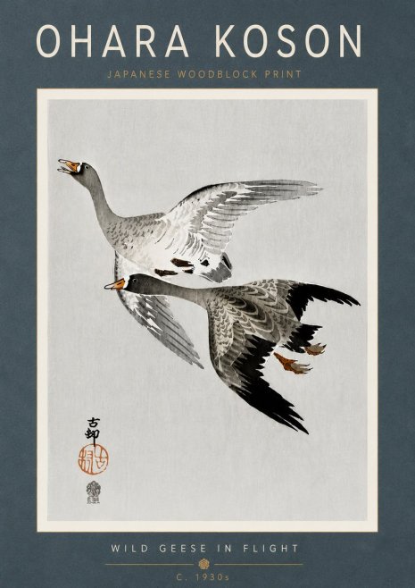 Ohara Koson Wild Geese in Flight III No6 - Juliste