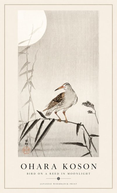 Ohara Koson Bird on a Reed in Moonlight No1 - Juliste
