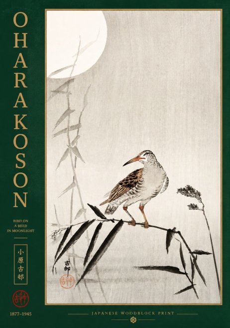 Ohara Koson Bird on a Reed in Moonlight No2 - Juliste