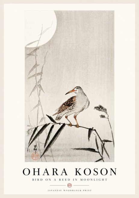 Ohara Koson Bird on a Reed in Moonlight No4 - Juliste