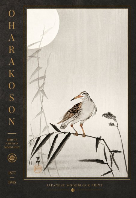 Ohara Koson Bird on a Reed in Moonlight No5 - Juliste