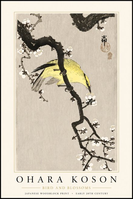 Ohara Koson Bird and Blossoms No3 - Juliste