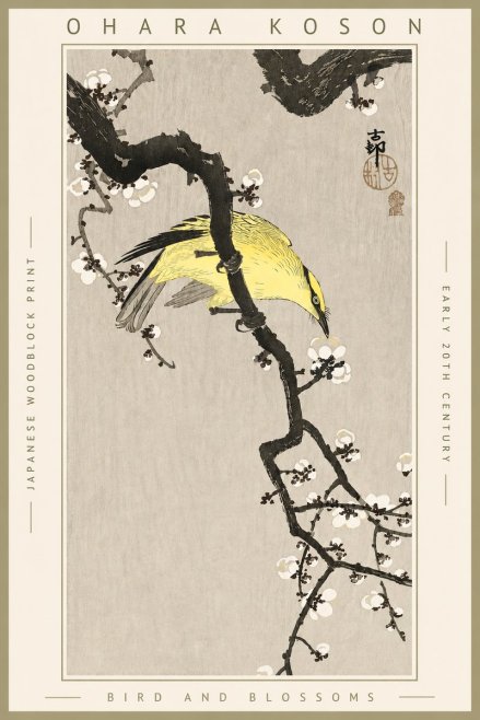 Ohara Koson Bird and Blossoms No4 - Juliste