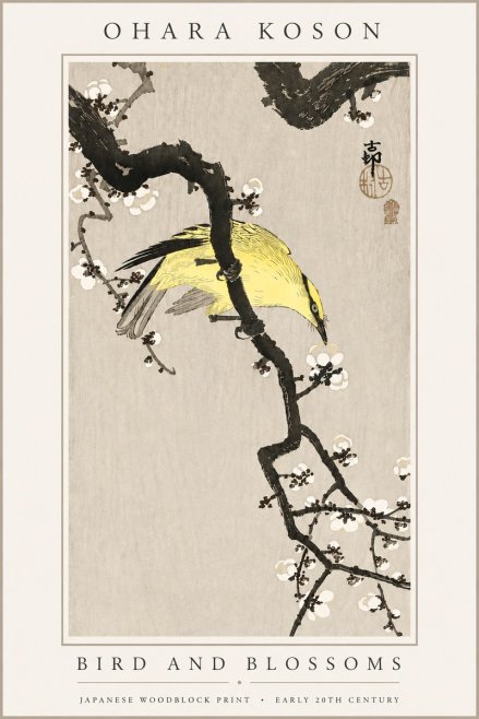 Ohara Koson Bird and Blossoms No6 - Juliste