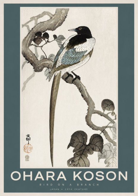 Ohara Koson Bird on a Branch IV No2 - Juliste