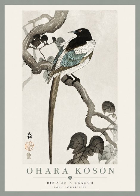 Ohara Koson Bird on a Branch IV No3 - Juliste