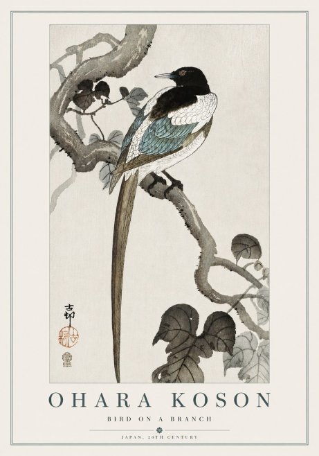 Ohara Koson Bird on a Branch IV No5 - Juliste