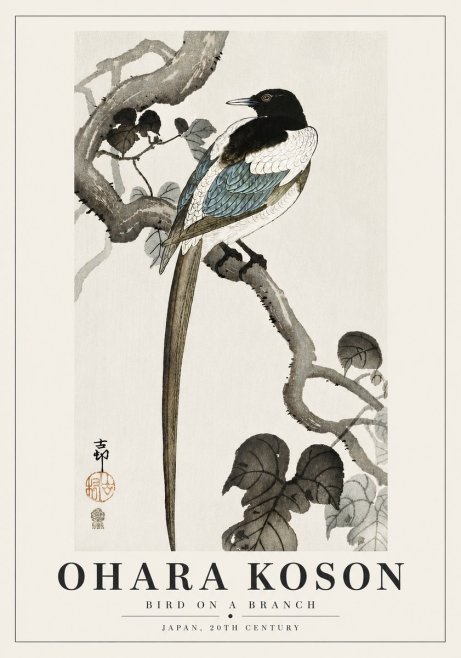 Ohara Koson Bird on a Branch IV No6 - Juliste