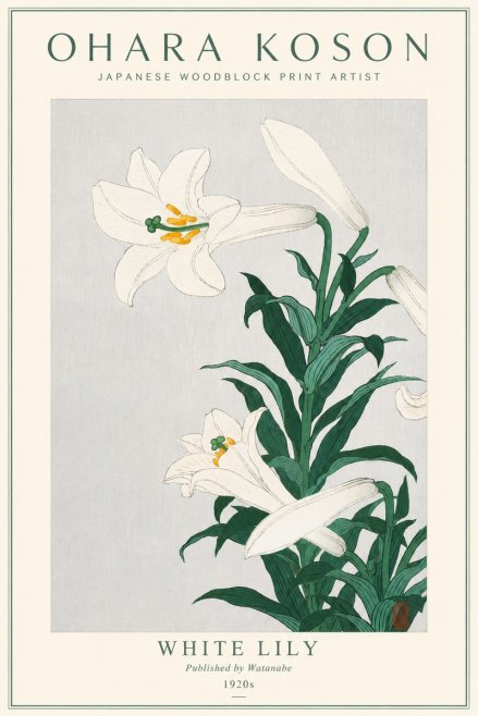 Ohara Koson White Lily No3 - Juliste
