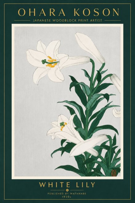 Ohara Koson White Lily No4 - Juliste