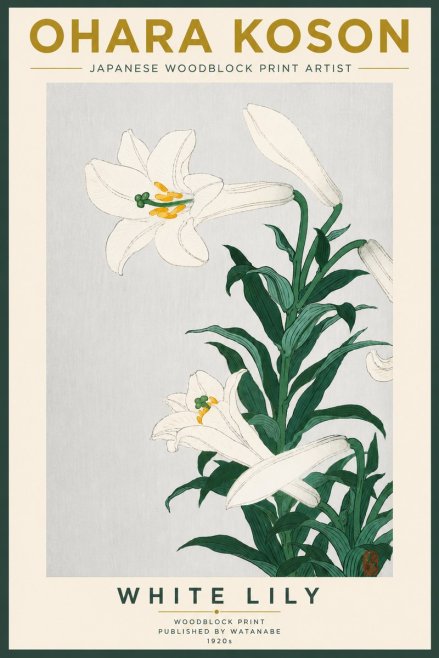 Ohara Koson White Lily No5 - Juliste