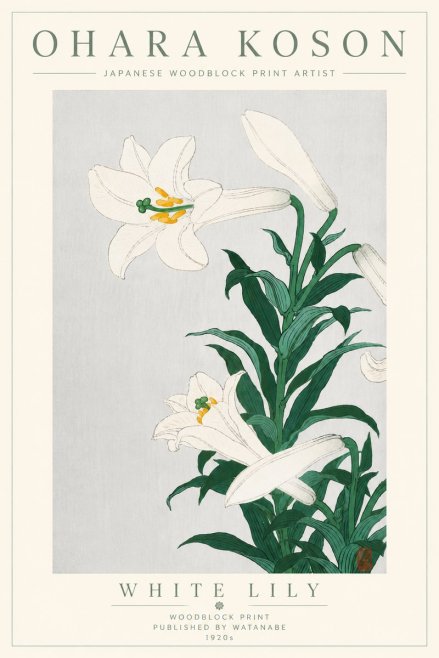 Ohara Koson White Lily No6 - Juliste