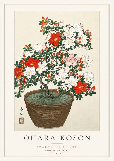 Ohara Koson Azalea in Bloom No3 - Juliste