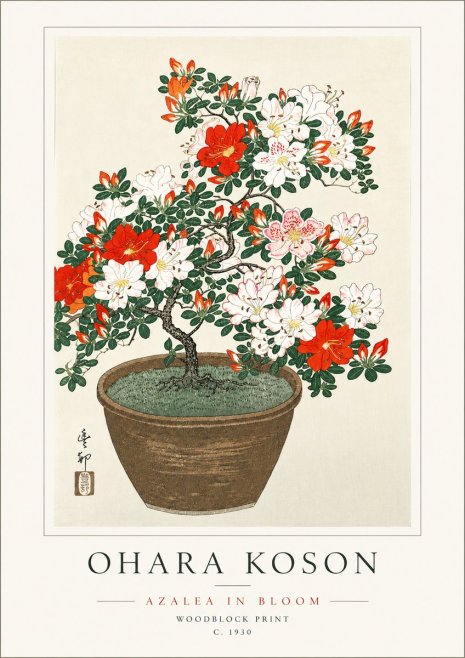 Ohara Koson Azalea in Bloom No6 - Juliste