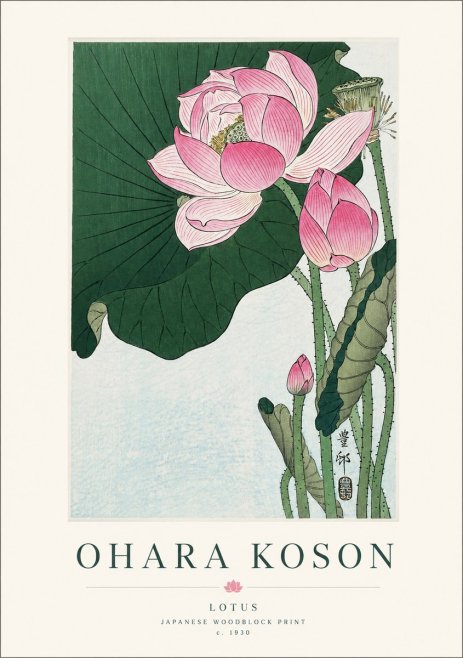 Ohara Koson Lotus II No1 - Juliste